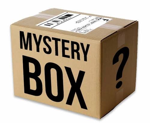 Mystery Box Back Pack y/o Gym Bag